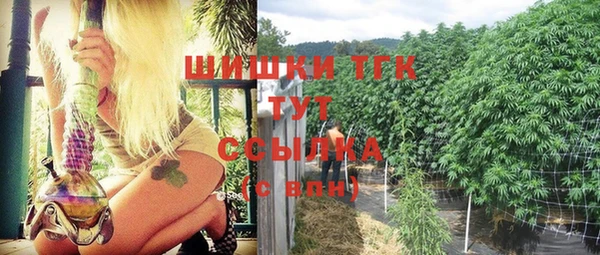ПСИЛОЦИБИНОВЫЕ ГРИБЫ Краснослободск
