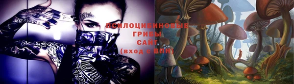 ПСИЛОЦИБИНОВЫЕ ГРИБЫ Краснослободск