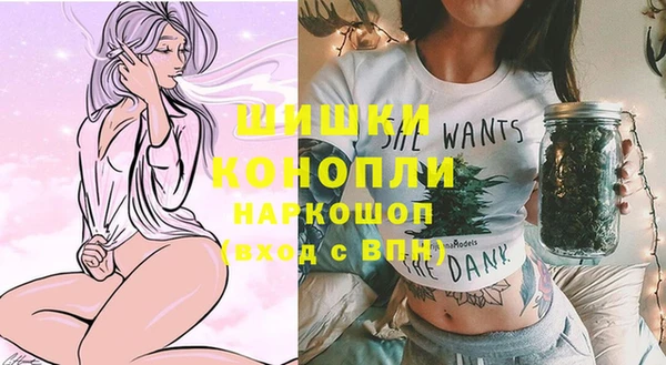 ПСИЛОЦИБИНОВЫЕ ГРИБЫ Краснослободск