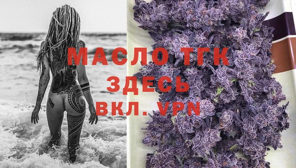 индика Кукмор