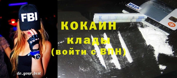 ПСИЛОЦИБИНОВЫЕ ГРИБЫ Краснослободск