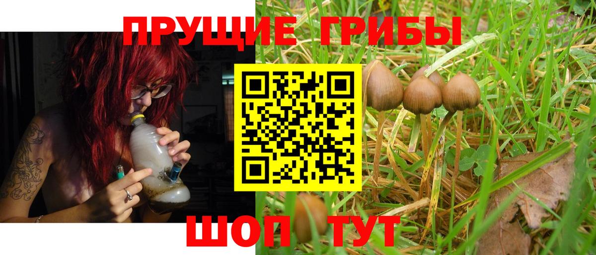купить   Галлюциногенные грибы прущие грибы  Тобольск  Вход с VPN  Псилоцибиновые грибы Magic Shrooms 
